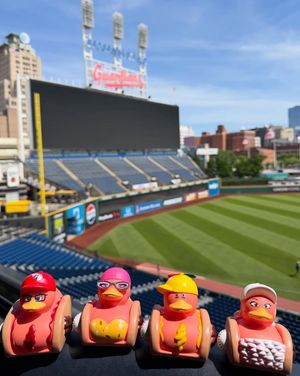 Image post by @clehotdogs on Instagram