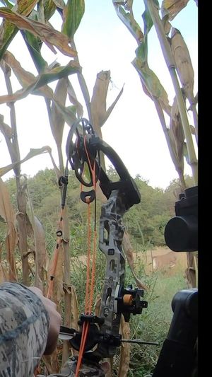 Video post by @thehuntingchallenge on Instagram
