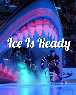 Image post by @empty.netters on Instagram