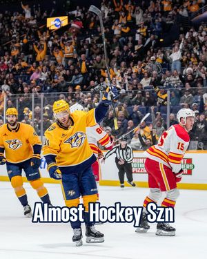 Image post by @predsnhl on Instagram