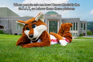 Video post by @marist on TikTok