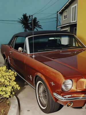 Image post by @meowpht on Instagram