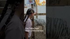 Video post by @nmasunivision on YouTube