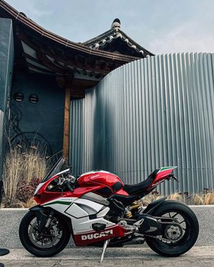 Image post by @panigalers on Instagram