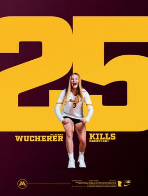 Image post by @gophervball on Instagram