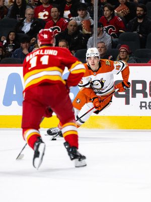 Image post by @AnaheimDucks on Twitter