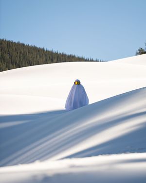 Image post by @coppermtn on Instagram