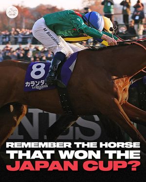 Image post by @worldhorseracing on Instagram