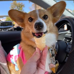 Image post by @ScoopSanDiego on Facebook
