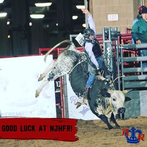 Image post by @american_royal on Instagram