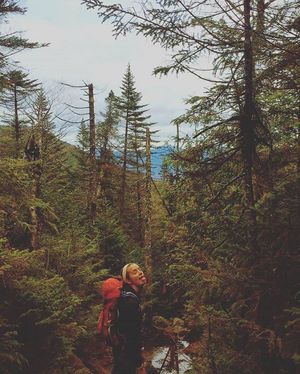 Image post by @drsquatch on Instagram