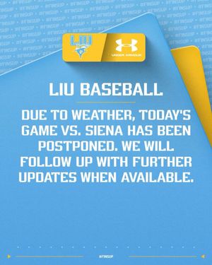 Image post by @liubaseball on Instagram