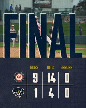 Image post by @saltdogsball on Instagram