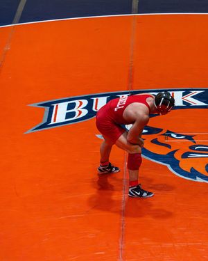 Image post by @izzyroesmedia on Instagram