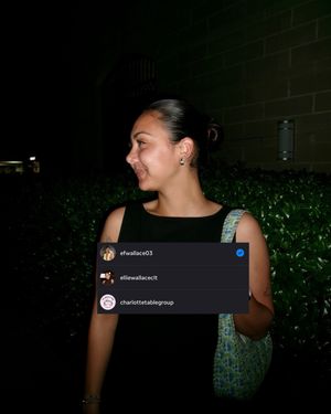 Video post by @efwallace03 on TikTok