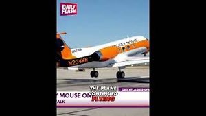 Video post by @dailyflashtv on YouTube