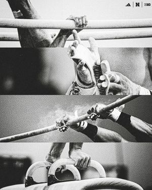 Image post by @huskermgym on Instagram