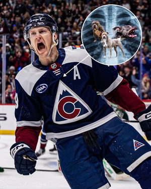 Image post by @coloradoavalanche on Instagram