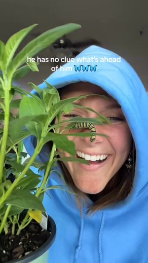 Video post by @b r o o k e🦈 on Facebook