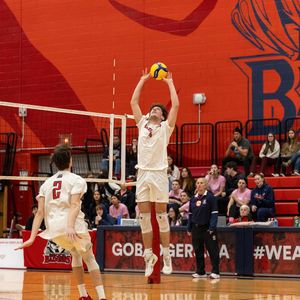 Image post by @brockbadgers on Instagram