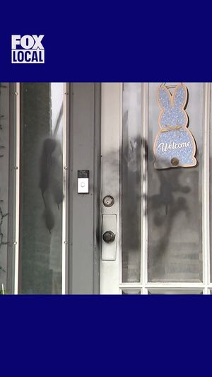 Video post by @fox6now on Instagram