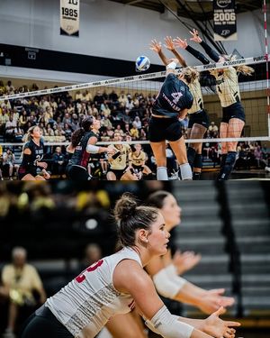 Image post by @iuindy_vb on Instagram