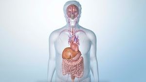 Video post by @nucleusmedicalmedia on YouTube