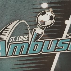 Image post by @stlouisambush on Instagram
