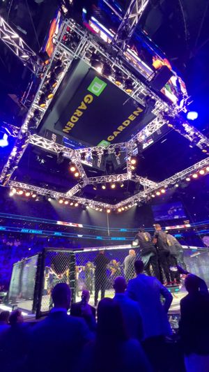 Video post by @ufc on TikTok