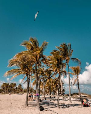 Image post by @serfermedia on Instagram