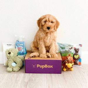 Image post by @petco on Instagram