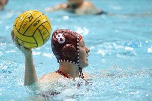 Image post by @IndianaWPolo on Twitter
