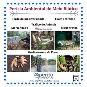 Image post by @operitoambiental on Instagram