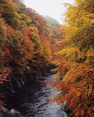 Image post by @visitscotland on Instagram