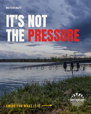 Image post by @brothercarp on Instagram