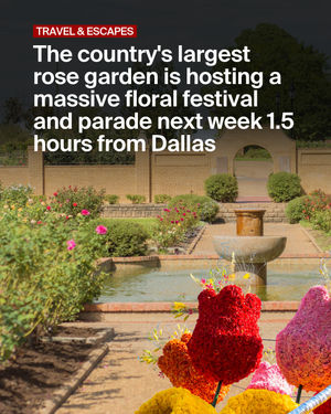 Image post by @secret_dallas on Instagram