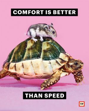 Image post by @toiletpapermagazineofficial on Instagram