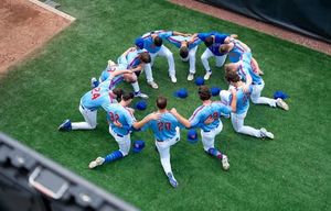 Image post by @smokiesbaseball on Instagram