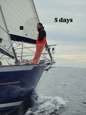 Image post by @sailing_with_phoenix on Instagram