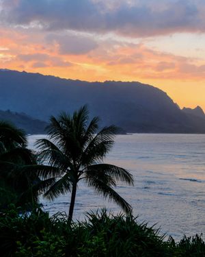 Image post by @bethanyhamilton on Instagram