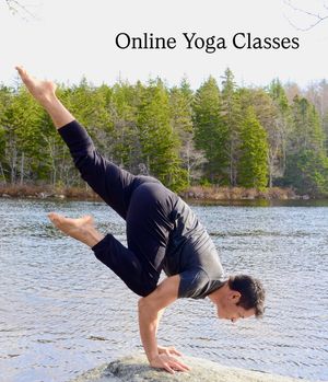 Image post by @didieryoga on Instagram