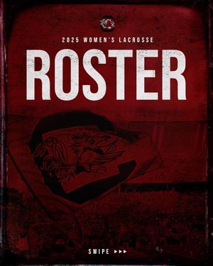 Image post by @gamecockswlax on Instagram