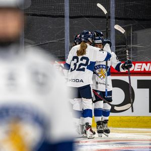 Image post by @leijonatfi on Instagram