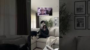 Video post by @lizaotovo on YouTube