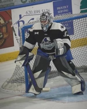 Image post by @goaliegearnerd on Instagram