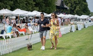 Image post by @greenwichpoloclub on Instagram