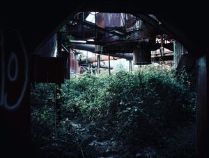 Image post by @willtrogdon on Instagram