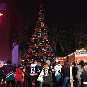 Image post by @anaheimducks on Instagram