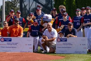 Image post by @littleleague on Instagram