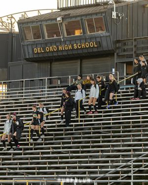 Image post by @turfblur on Instagram